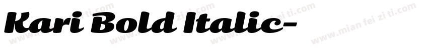 Kari Bold Italic字体转换